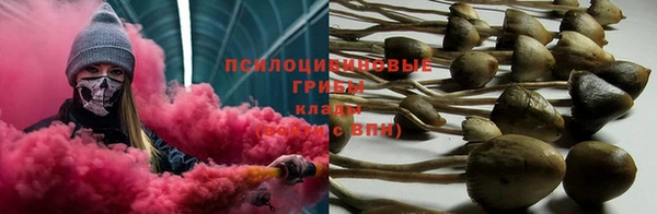 кокаин колумбия Алексин