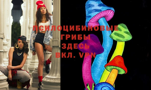 ешки Алексеевка
